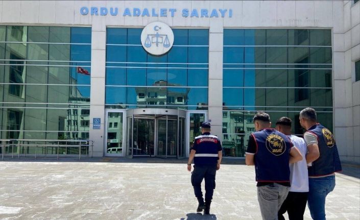 Ordu’da jandarma aranan 37 şüpheliyi yakaladı, 17’si tutuklandı