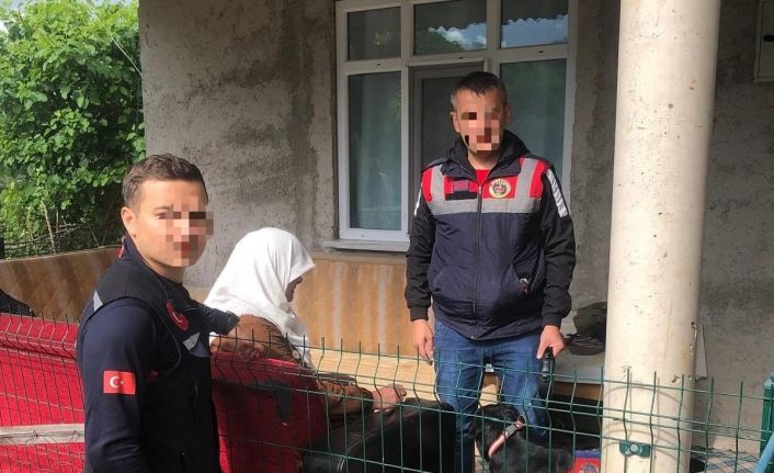 Ordu’da kayıp ihbarı olan kadın sağ olarak bulundu