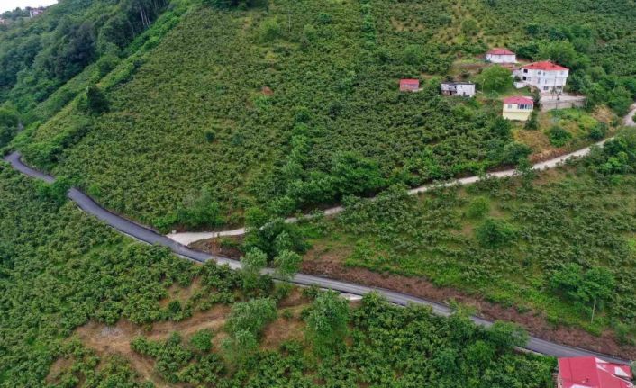 Ordu’nun seyir terasının yolunda sıcak asfalt çalışması