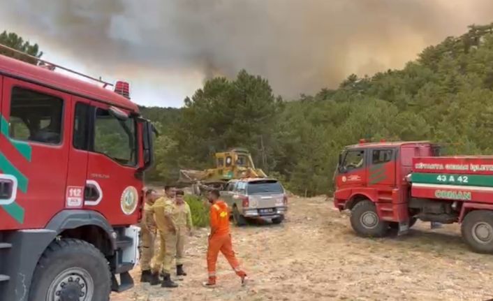 Orman Bölge Müdürü yangının ortasında kaldı