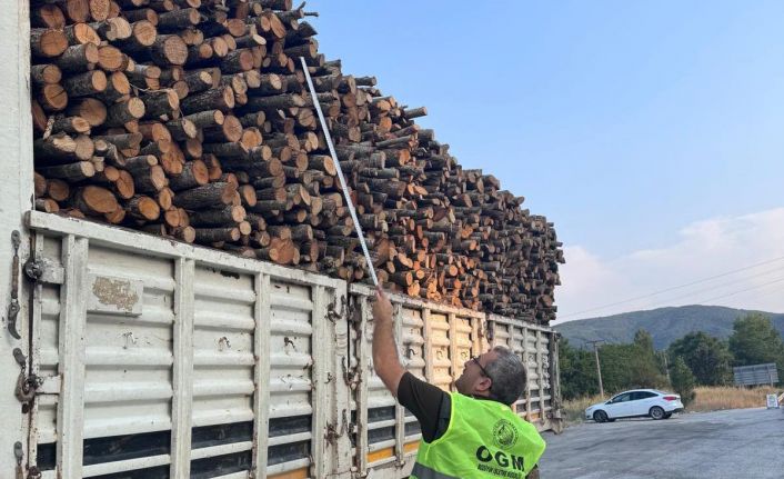 Orman emvali taşıyan araçlara sıkı denetim