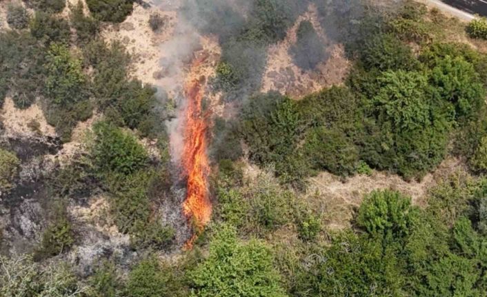 Orman Genel Müdürlüğünden ‘Yangın’ uyarısı