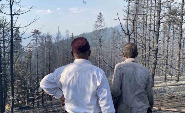 Orman yangınına karşı köylüler seferber oldu