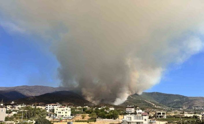 Orman yangınına müdahale 22. saatte devam ediyor