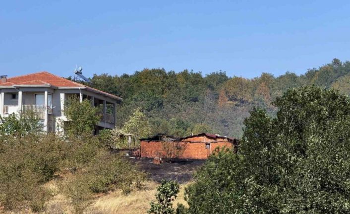 Orman yangınına müdahale sürüyor: Ekiplerin yanı sıra vatandaşlar da seferber oldu