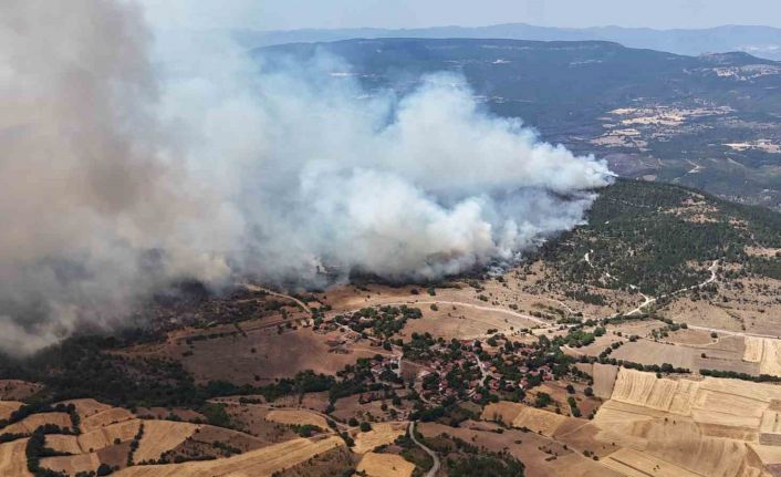 Orman yangınında alevler yerleşim yerlerine doğru ilerliyor