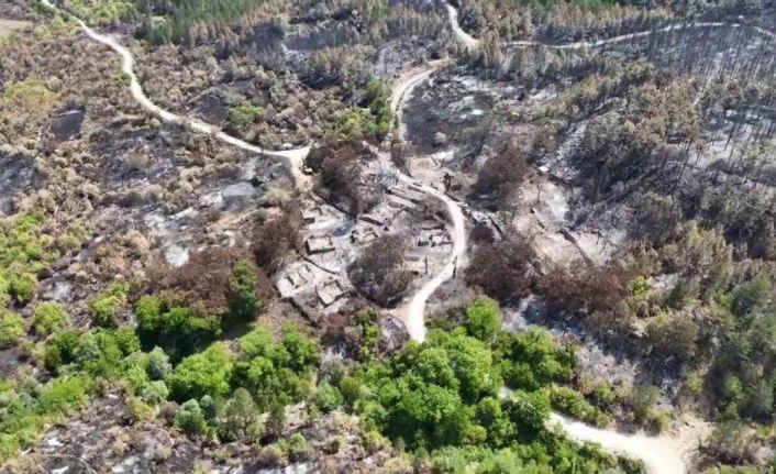 Orman yangınında köyün bir mahallesi yok oldu