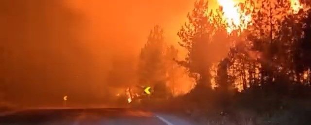 Orman yangınını söndürürken alev kapanında kaldılar