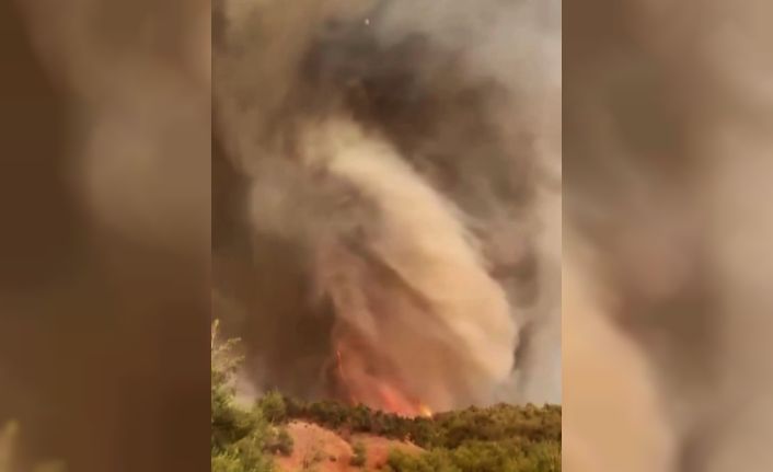 Orman yangınının en çarpıcı görüntüsü: Alevler adeta hortum oluşturdu