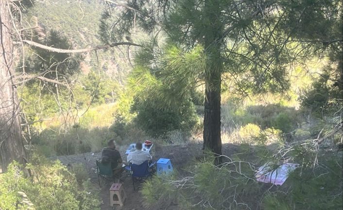 Ormanda piknik yapan 4 şahsa yasal işlem yapıldı