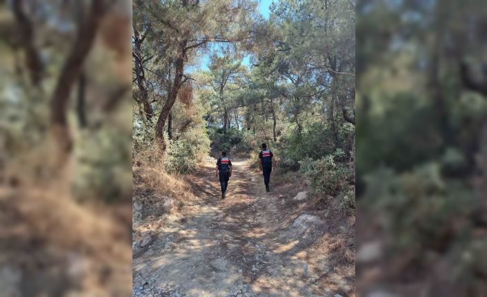 Ormanlar hem karadan hem havadan korunuyor