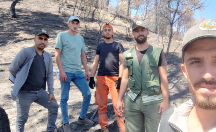 Ormanlar yeniden doğuyor: Geyve’de fidan mesaisi başladı