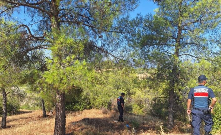 Ormanlara giren ve ateş yakanlara ceza yağdı