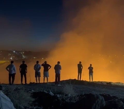 Ormanlık alanda çıkan yangın korkuttu