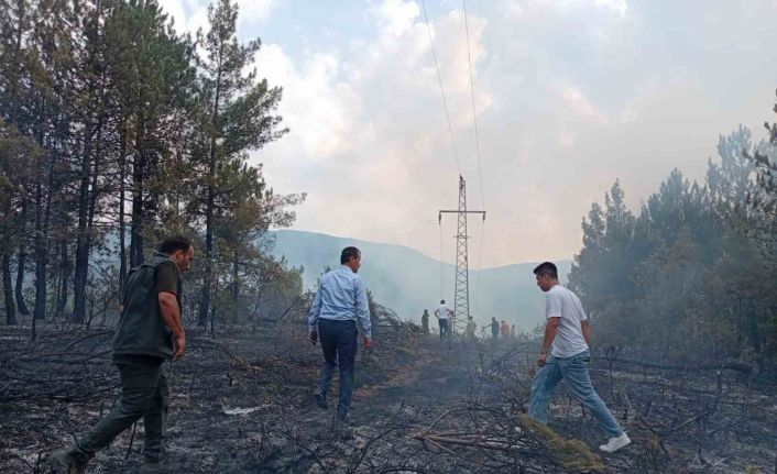 Ormanlık alandaki örtü yangını kontrol altına alındı