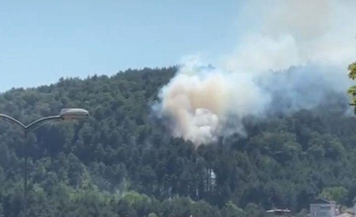 Örtü yangını büyümeden söndürüldü