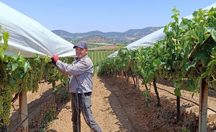 Örtücülerin kavurucu sıcaklarla zorlu mesaisi