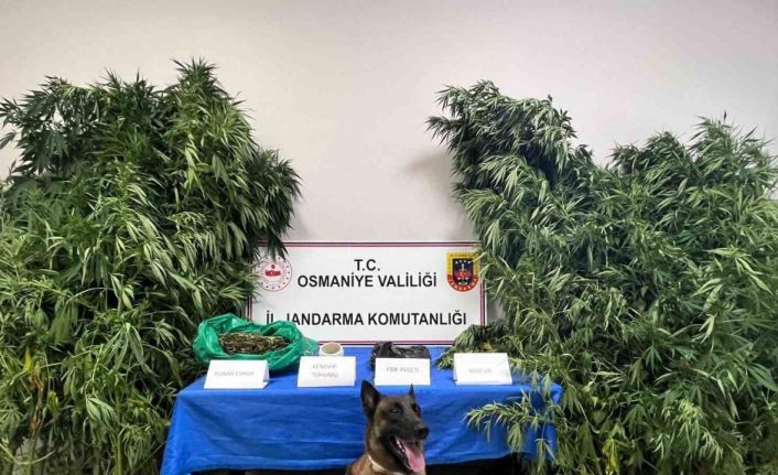 Osmaniye’de 1 haftada 105 şüpheli yakalandı