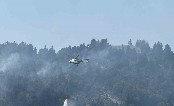 Osmaniye’deki orman yangını kontrol altına alındı