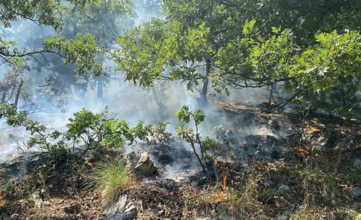Osmaniye’nin Düziçi ilçesinde orman yangını başladı