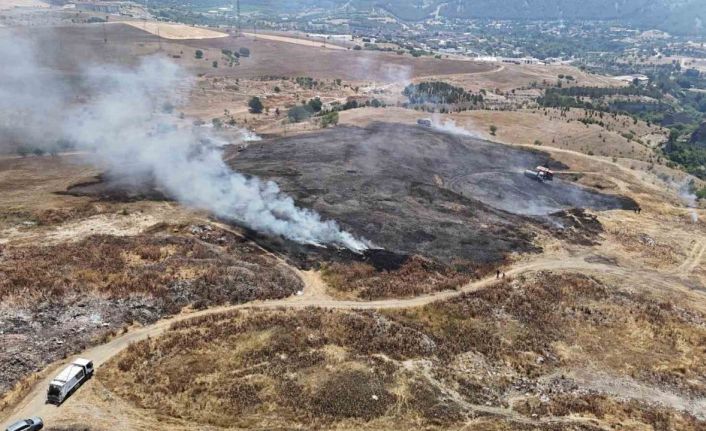Ot yangınında 3 dönümlük alan zarar gördü
