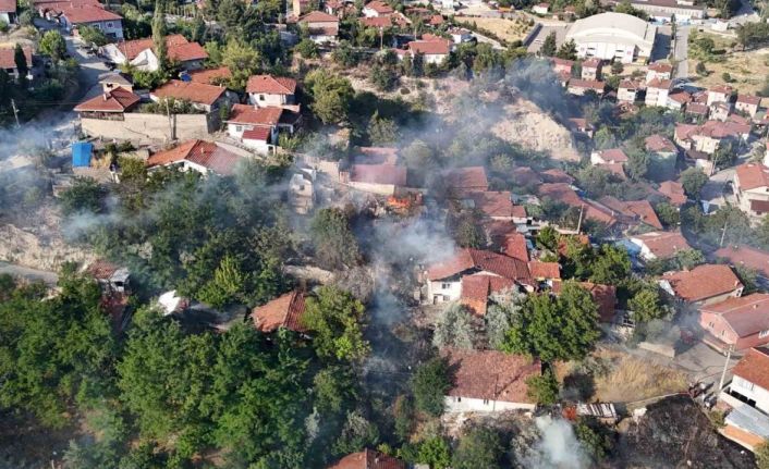 Otluk alanda çıkan yangında 4 ev zarar gördü