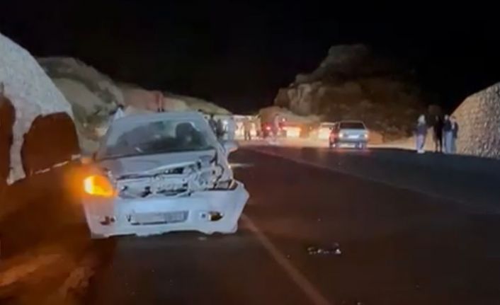 Otomobil domuza çarptı