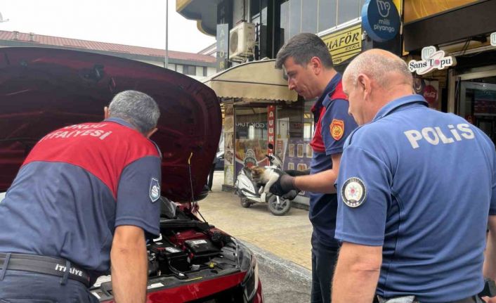 Otomobilin motor kısmında bulunan kedi çevredekilerin dikkati sayesinde kurtarıldı