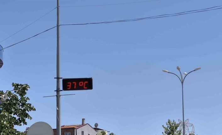 (ÖZEL) Bu ilçede termometreler 38 derecelere kadar çıktı