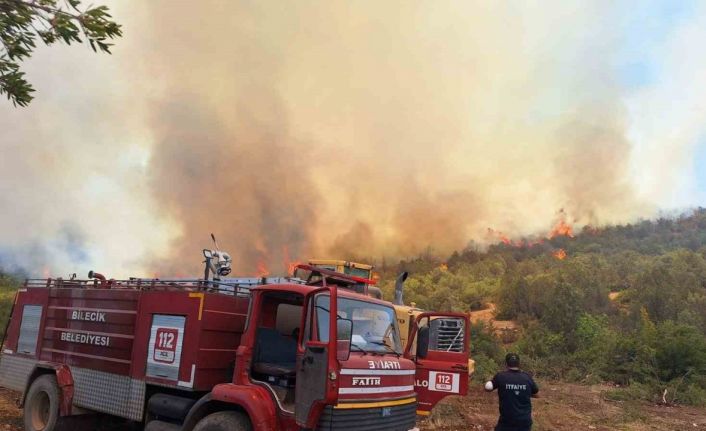 (ÖZEL) Orman yangınlarında var gücüyle çalışan itfaiyeciler hayvanlara da büyük şefkat gösteriyor