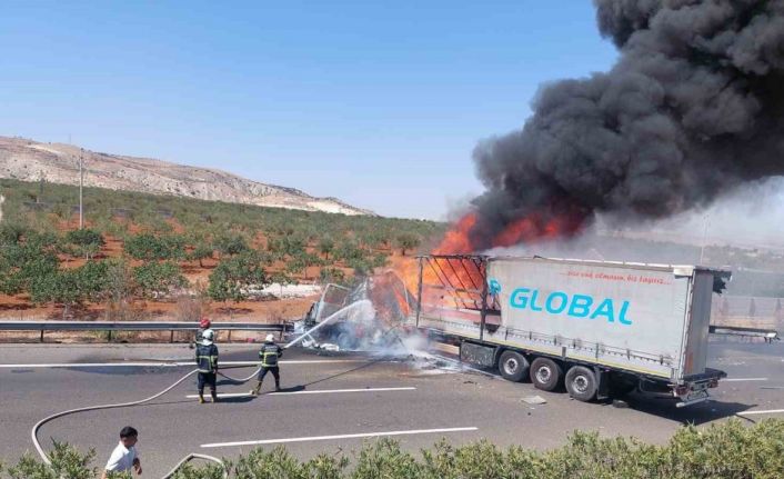 Park halindeki tıra çarpan tır alev topuna döndü: Feci kaza kamerada