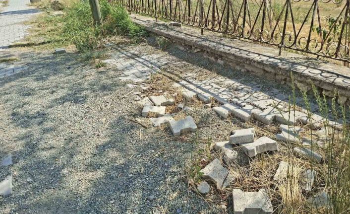 Parkın bakımsızlığı tepkilere neden oldu