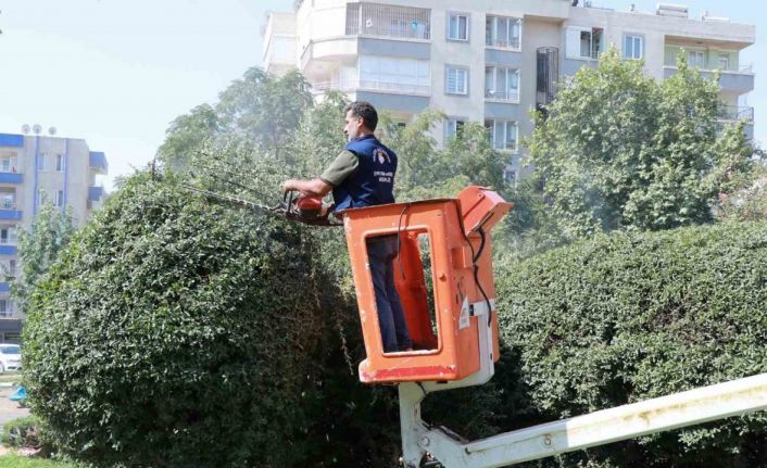 Parklarda yenileme ve güzelleştirme çalışması