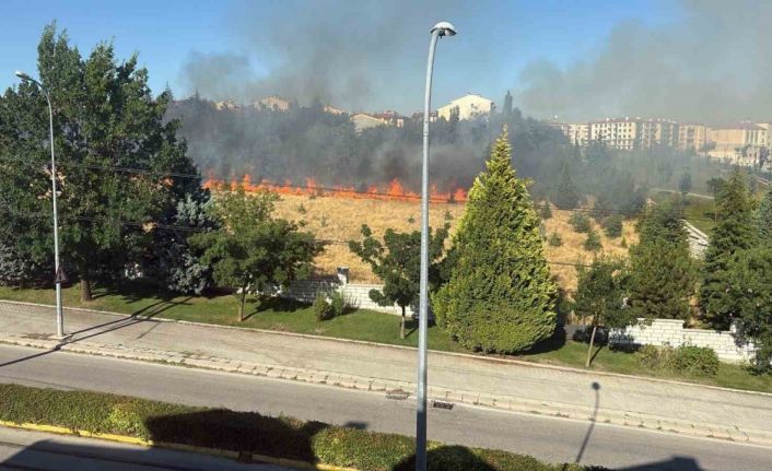 Parkta çıkan yangın paniğe sebep oldu