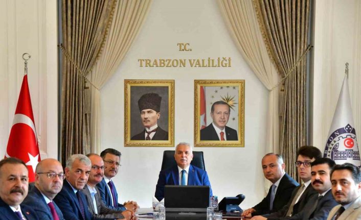 Parma Yaylası için harekete geçtiler