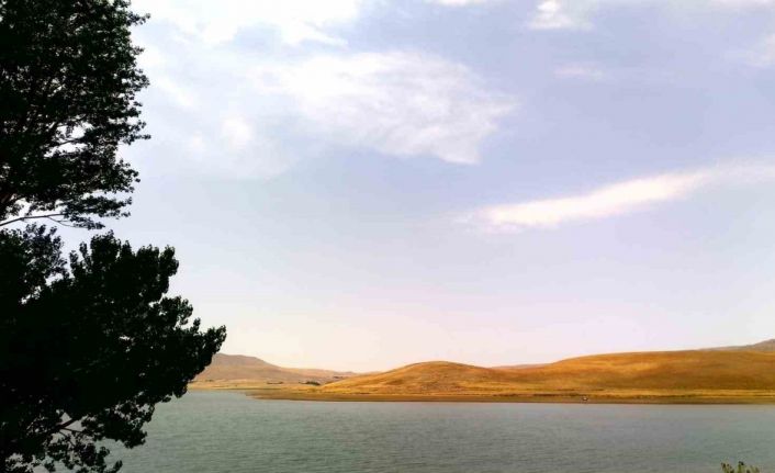 Patnos Barajı kuraklık ve çevre kirliliği tehdidi altında