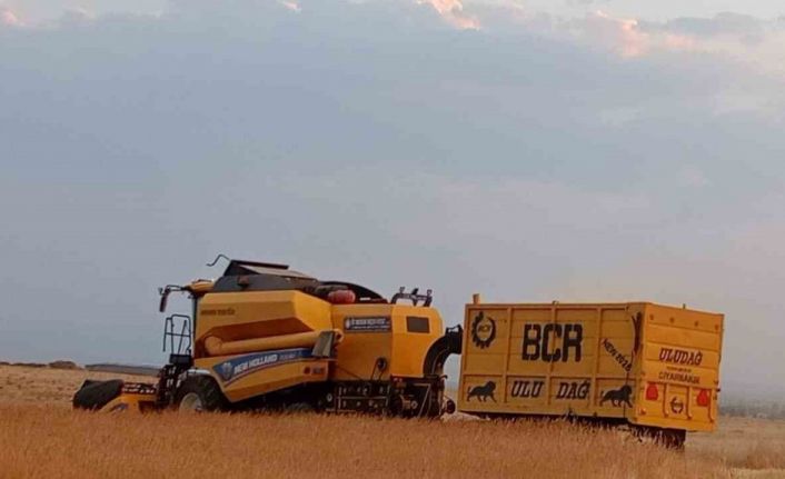 Patnosta buğday hasadı başladı