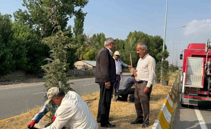 Patnos’ta yeşil alan çalışmaları sürüyor