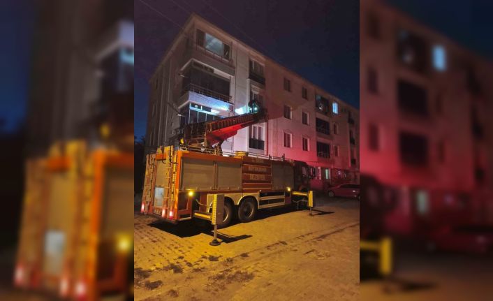 Pencereye sıkışan kuş için itfaiye seferber oldu