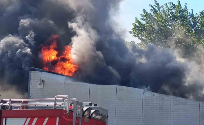 Pendik’te atık su arıtma tesisinde yangın çıktı. Olay yerine çok sayıda itfaiye ekibi sevk edildi.