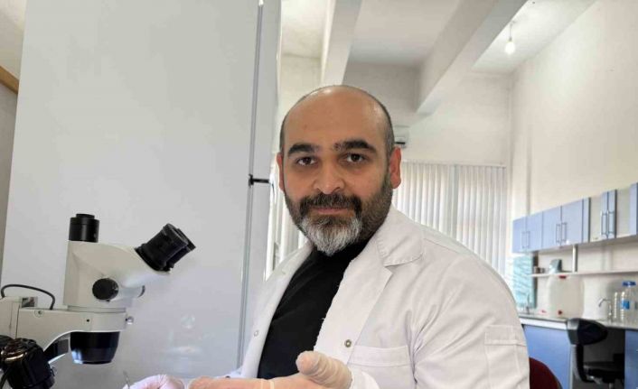 Prof. Dr. Keskin: "Keneyi strese sokacak uygulamalardan kaçınalım"