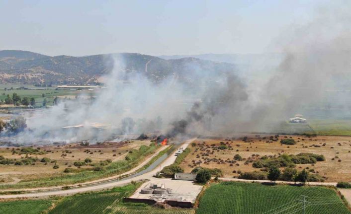 Rüzgarla büyüyen yangın, hayvan çiftliğini tehdit etti