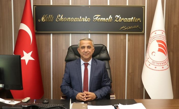 Sağlam: "Kahverengi kokarca ile mücadelede kritik dönem başladı"