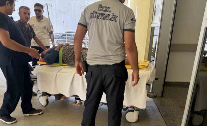 Sağlık ekipleri, evinin önünde düşen kadın için 4 buçuk saat yolculuk yaptı