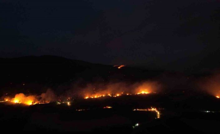 Sakarya-Bilecik sınırında alevler yeniden yükseldi