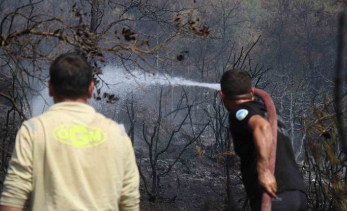 Sakarya-Bilecik sınırında alevler yeniden yükseldi: Hızlı müdahale yayılmayı önledi