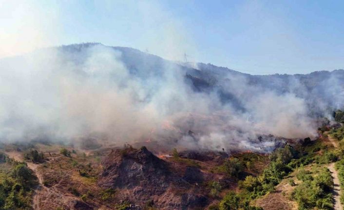 Sakarya-Düzce sınırındaki yangın bölgesi havadan görüntülendi