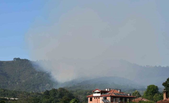 Sakarya Hendek’teki orman yangını kontrol altına alındı