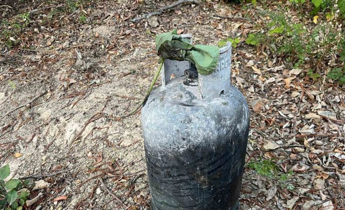 Sakarya Hendek’teki orman yangınının sebebi belli oldu