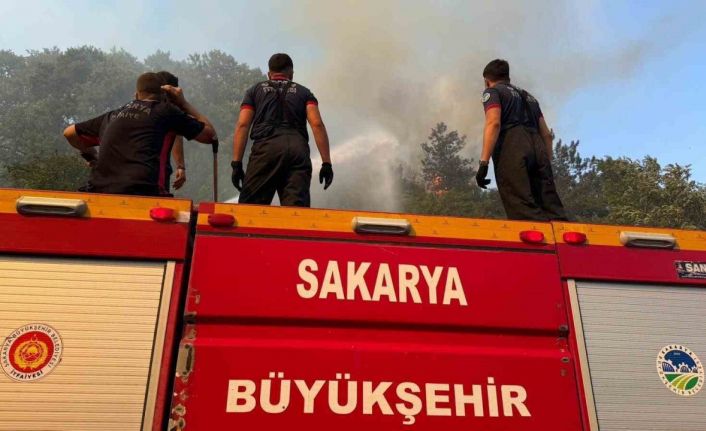 Sakarya’da ateş savaşçılarının zorlu 4 günü